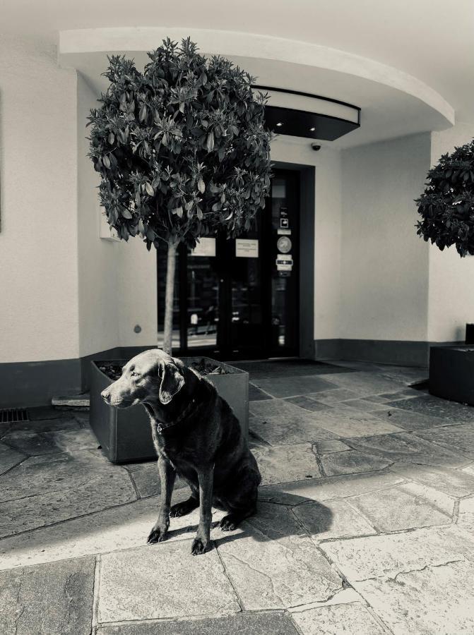 Hotel Murten Eksteriør bilde